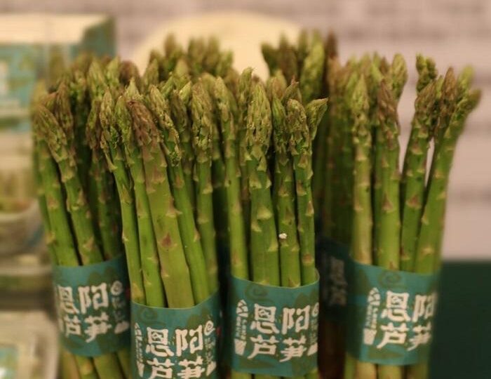 恩阳芦笋_6662487048a3b.jpeg