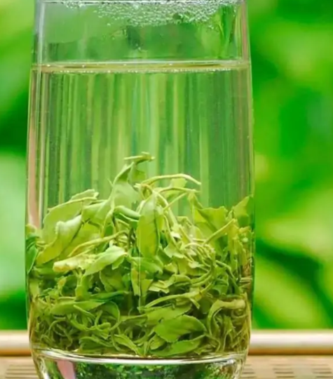 梅县绿茶_666299e5e6087.png
