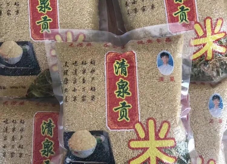 清泉沟小米_666269f78f66d.jpeg