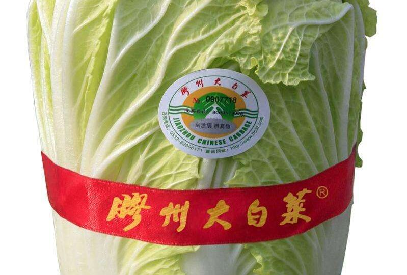 胶州大白菜_6662481c7262b.jpeg