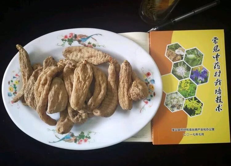 英山天麻_6662704b36068.jpeg