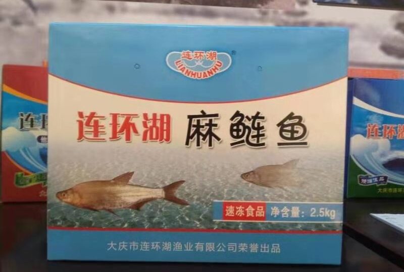 连环湖麻鲢鱼_66624807da50e.jpeg