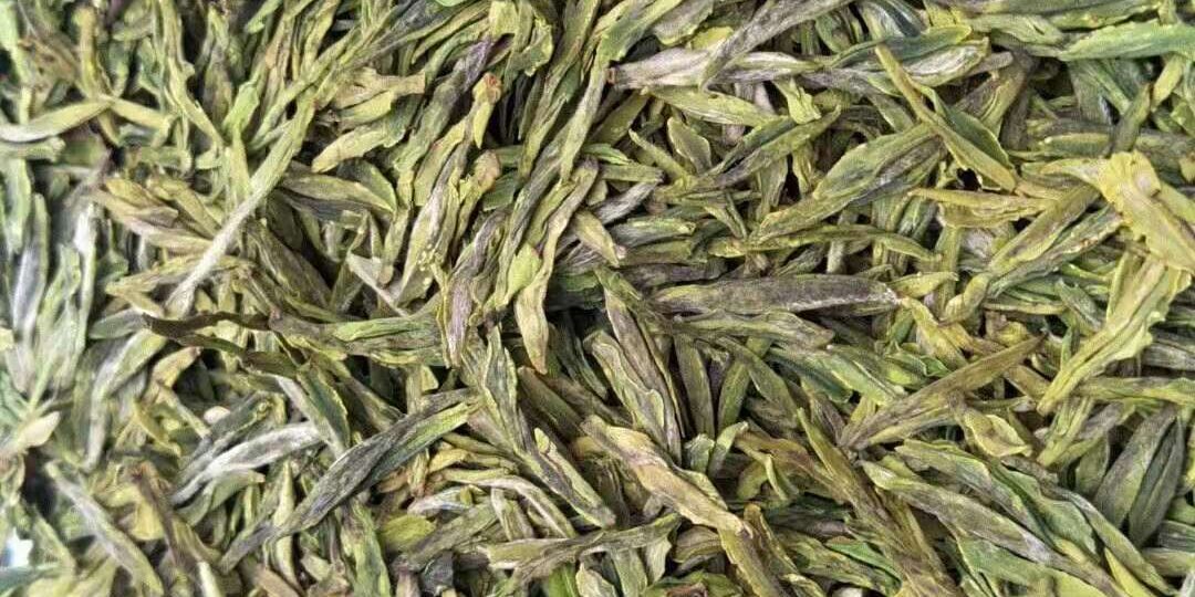 都督翠茗_66624b9ba8090.jpeg
