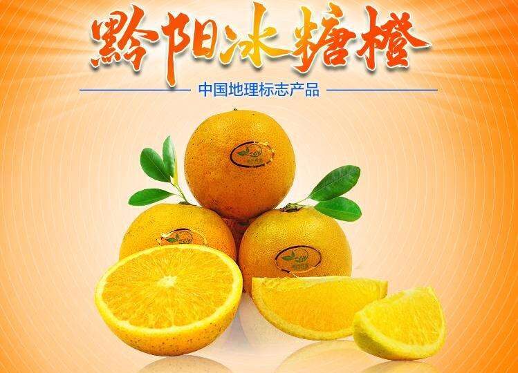 黔阳冰糖橙_66626e20a5ff1.jpeg